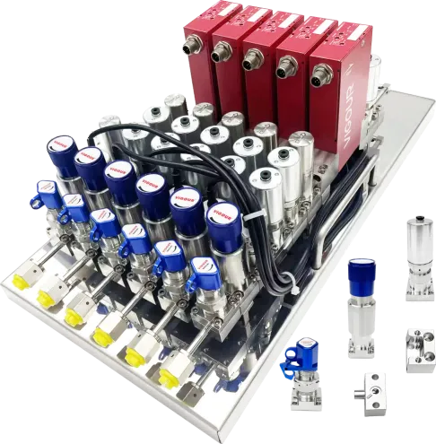 IGS system IGS system